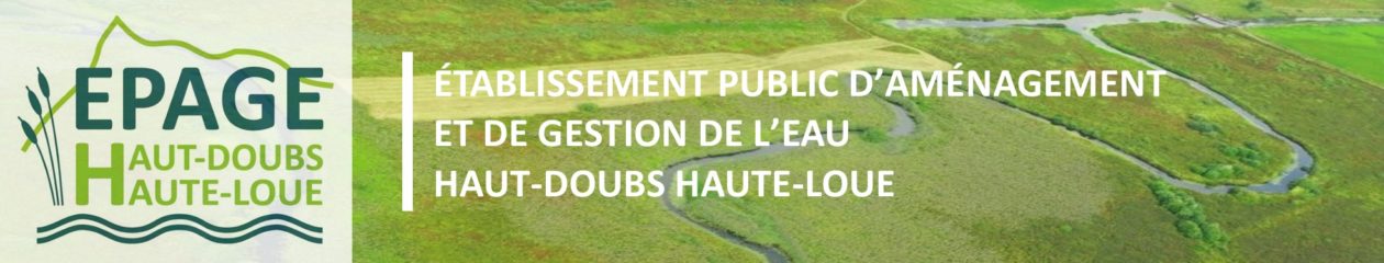 EPAGE HDHL