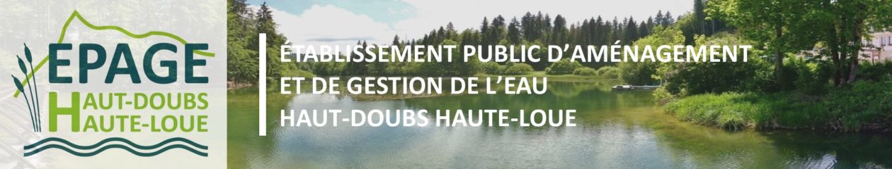 EPAGE HDHL