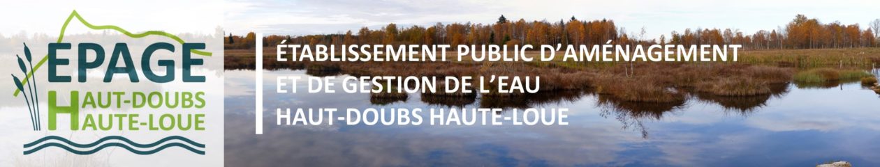 EPAGE HDHL