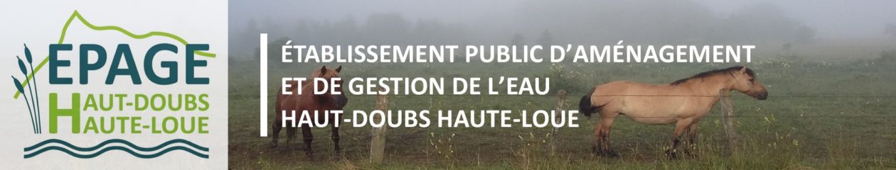EPAGE HDHL