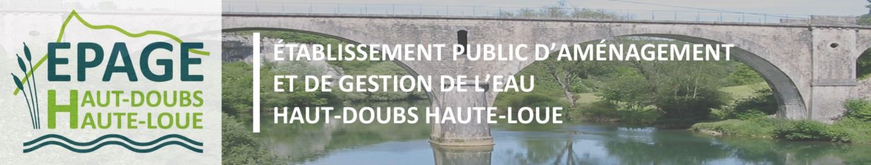 EPAGE HDHL