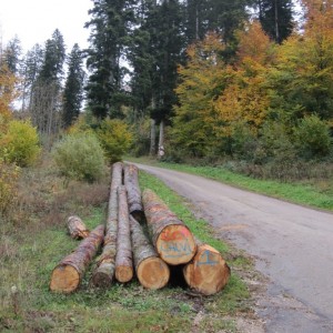 Photo 016