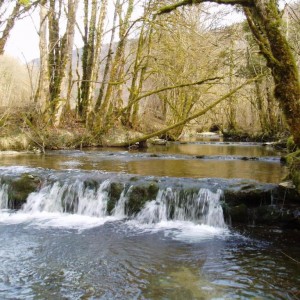 breme bonnevaux