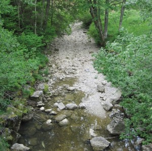 ruisseau_lavaux (5)