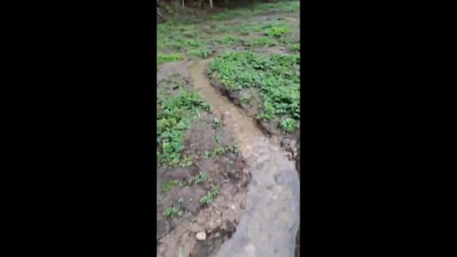 | Restauration du ruisseau de la Tanche Secteur Amont |

Le ruisseau de la Tanche découvre petit à petit son nouveau lit.

Les Fins
JNS Jura Natura Services
Marais de la Tanche