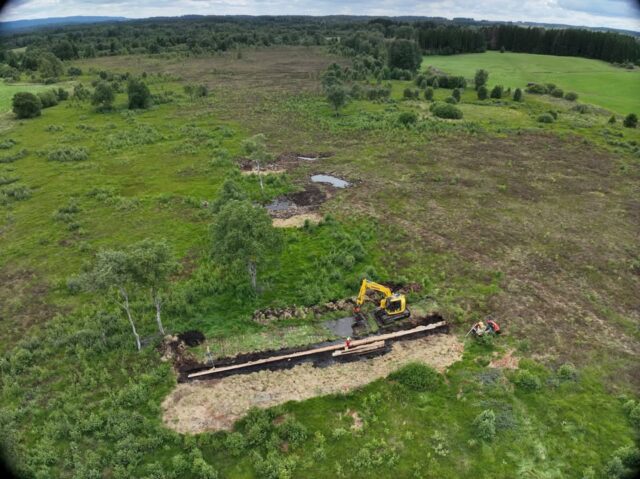 💧La tourbière de Bouverans se remet en eau 💧

Dans la réserve naturelle régionale des tourbières de Frasne Bouverans, l’EPAGE Haut-Doubs Haute-Loue conduit un important chantier de réhabilitation de la tourbière de Métallin dans le cadre du programme européen LIFE Climat tourbières du Jura. Moins émettre de CO2, réhausser les niveaux d’eau, stimuler la biodiversité chancelante, tels sont les objectifs à ce chantier ambitieux : 24 barrages au total, petits et grands vont bloquer l’eau pour stocker le précieux carbone dans la tourbe.
Après un transport par hélicoptère des 45 tonnes de madriers bois, pour à la fois limiter l’impact des machines sur le sol tourbeux fragile mais aussi les émissions de CO2 des engins et sans surcoût, l’entreprise Jura Natura Services a démarré la construction des palissades en bois qui se poursuivra au mois d’août. L’eau est déjà remontée à l’amont des barrages terminés. Un suivi des hauteurs d’eau dans la nappe et des émissions de carbone permettra de mesurer l’efficacité des travaux à moyen terme, dans la discrétion de la réserve naturelle, qui reste inaccessible au public.

Communauté de Communes Frasne-Drugeon
JNS Jura Natura Services