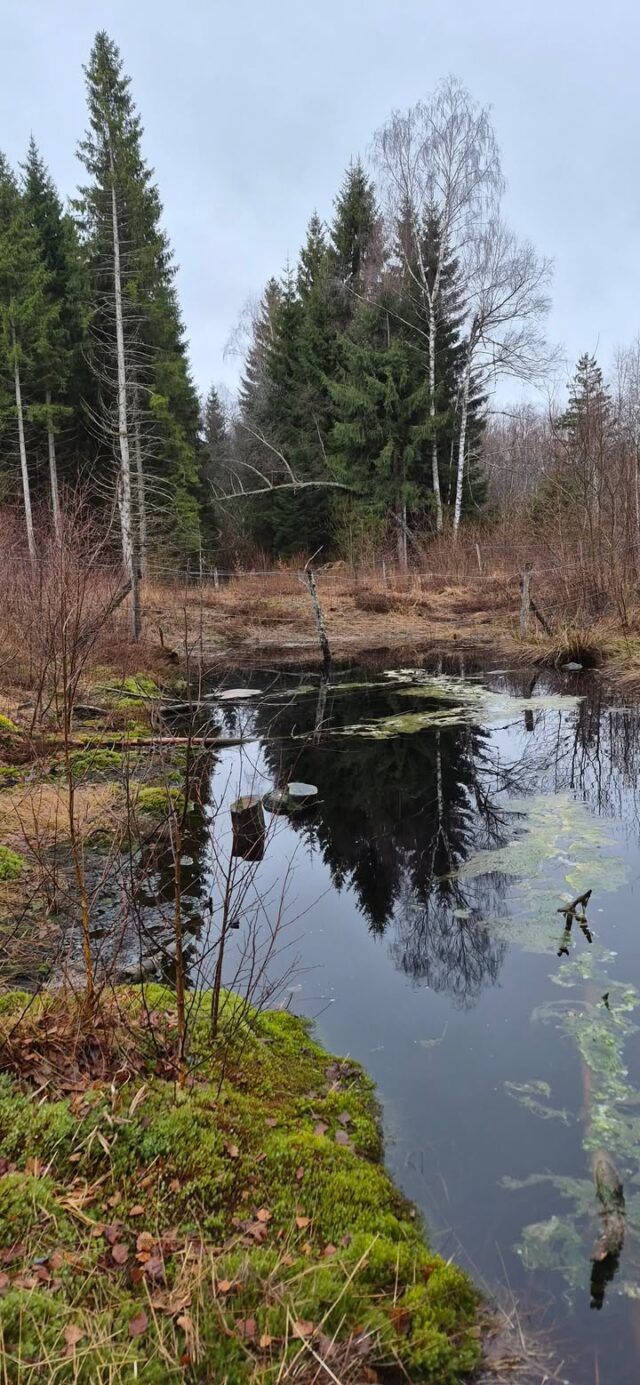 💦 Journée mondiale des zones humides 💦
Décidément, les visites de la Journée mondiale des zones humides de l’EPAGE Haut-Doubs Haute-Loue étaient placées cette l’année sous le signe de l’humidité. Un grand merci aux nombreux courageux qui n’ont pas craint la pluie samedi pour venir découvrir la tourbière du Frambourg, ses premiers travaux, et ceux qui se poursuivent dès aujourd’hui.