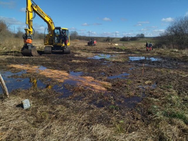 💧Plus d’eau dans le marais tourbeux de l’Ecouland à Frasne 💧

La neutralisation de 3 fossés de drainage sur un linéaire de 300 mètres est en train de changer le paysage du marais de l’Ecouland, dans la Réserve naturelle régionale des Tourbières de Frasne-Bouverans. Les eaux de sources et de ruissellement qui filaient bien trop vite dans des fossés en direction d’une doline, sont retenues par une série de petits barrages qui permettent d’étaler l’eau dans la tourbe. La doline sera toujours alimentée de la même façon, mais avec des flux d’eau ralentis, qui prennent le temps de se disperser dans le marais qui reprend son humidité d’antan, préserve le carbone de la tourbe et accueille déjà quelques bécassines de passage.