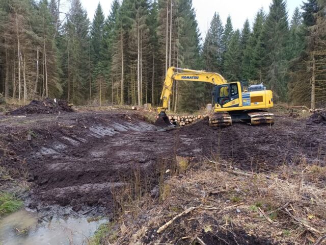 💧 La tourbière du Frambourg se recharge en eau 💧

Après un long passé d’extraction de tourbe au XIXè siècle, et un drainage intense de la tourbière au XXè, l’EPAGE est en train de conduire un chantier XXL réalisé par l’entreprise JNS Jura Natura Services, pour rediriger dans la tourbière, plus de 1700 mètres d’écoulements préalablement drainés. 8 solides bouchons en moraine, argile ou tourbe, soit plus de 1735 m3 de matériaux, importés ou prélevés sur place sont construits pour résister aux débits d’alimentation importants du bassin versant qui arrivent du coteau des Fourgs, afin de les renvoyer dans la tourbière. L’issue de l’eau sera la même, le canal de crue de la Morte, mais avec un temps de passage ralenti dans la tourbière. Le suivi des niveaux de nappe et les mesures d’émission de gaz à effet de serre devraient être riches en enseignement, et la flore devrait peu à peu se transformer, en ayant un peu plus « les pieds » dans l’eau.