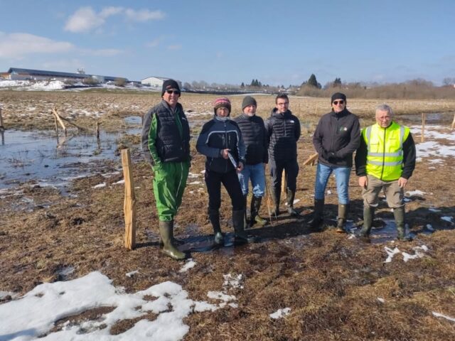 🎬Fin de travaux au marais de l'ECOULAND

Clap de fin pour le chantier LIFE Climat du marais de l’Ecouland à Frasne : la réserve naturelle va retrouver un peu de quiétude avant l’arrivée des genisses, et surtout des niveaux d’eau dignes d’une « vraie tourbière fonctionnelle» ! 
Pour la faune et la flore, un peu de patience…