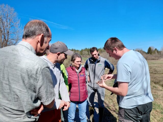 🐍💧[NATURA 2000] 

Ce mardi, l'EPAGE a organisé un atelier de découverte de la vipère péliade avec les agriculteurs du site Natura 2000 "Vallées du Drugeon et du Haut-Doubs". La matinée était animée par la LPO BFC - Franche-Comté dans le cadre du Plan National d'Actions en faveur des vipères. L'objectif de cet atelier était d'échanger sur la biologie et l'écologie de l'espèce, démystifier les idées reçues sur les vipères et discuter des actions que les agriculteurs peuvent mettre en place sur leur parcelle pour favoriser la vipère péliade et les reptiles en général. Faute de pouvoir apercevoir une vipère dans des conditions presque trop chaudes pour cette espèce qui apprécie les milieux frais, une mue a été découverte, permettant d'observer l'anatomie de l'espèce. Nos remerciements aux agriculteurs qui ont participé à cet atelier et à la LPO BFC - Franche-Comté