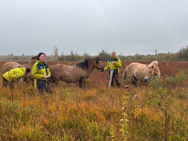 🚐 Journée découverte du terrain pour les élus

Jeudi 2 octobre 2026, accompagnés d’une petite pluie salvatrice, l’EPAGE Haut Doubs Haute Loue a invité ses nouveaux élus ainsi que les services de leurs collectivités d’origine à venir découvrir ses missions et ses réalisations sur le terrain.
Les équipes de l’EPAGE ont pu présenter différents travaux de restauration de cours d’eau et de tourbières, les actions menées pour préserver et gérer les habitats naturels, conduits notamment dans les Réserves Naturelles Régionales, les Espaces Naturels Sensibles et les sites Natura 2000, ou encore des travaux d’importance à venir pour la reconstruction du barrage du lac de Saint Point ou pour limiter le risque d’inondation du village de Doubs.