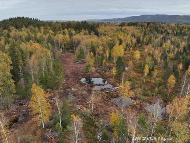 Programme LIFE Climat tourbières du Jura à Frasne 

🎬 Acte 1 de la réhabilitation de la tourbière du Forbonnet terminé, l’eau revient, le carbone est stocké et le climat préservé. 

🎬 Acte 2 au printemps 2027, avec la fermeture du très long fossé de drainage du côté du ponton de découverte de la tourbière, également dans la RNR des tourbières de Frasne Bouverans. L’ouverture de la zone très boisée se termine, pour laisser passer les engins au printemps prochain.